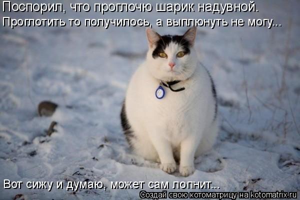 Поспорил, что проглочю шарик надувной. Проглотить то получилось, а выплюнуть не могу... Вот сижу и ду... Котоматрица: Поспорил, что проглочю шарик надувной. Проглотить то получилось, а выплюнуть не могу... Вот сижу и думаю, может сам лопнит...