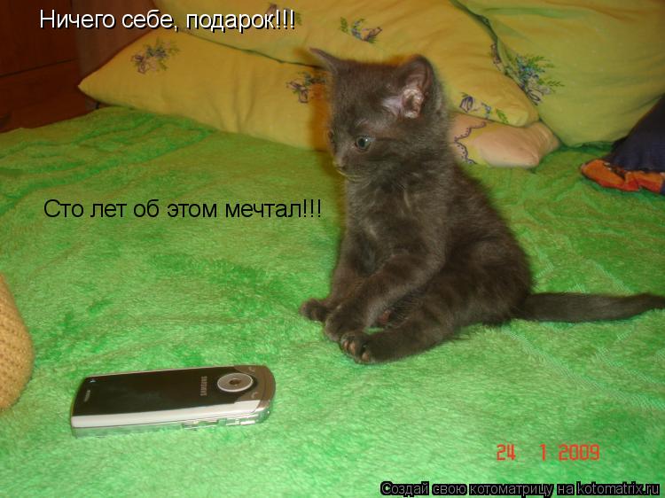 Ничего себе, подарок!!! Сто лет об этом мечтал!!!... Котоматрица: Ничего себе, подарок!!! Сто лет об этом мечтал!!!