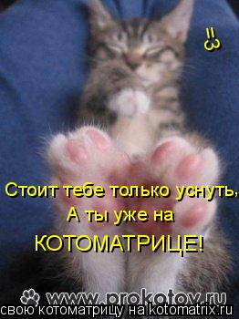 Стоит тебе только уснуть , А ты уже на КОТОМАТРИЦЕ! =3... Котоматрица: Стоит тебе только уснуть , А ты уже на КОТОМАТРИЦЕ! =3