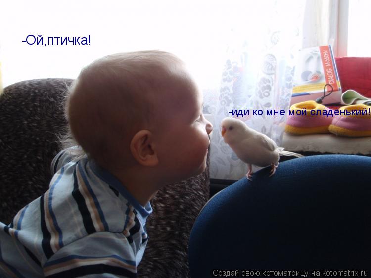 -Ой,птичка! -иди ко мне мой сладенький!... Котоматрица: -Ой,птичка! -иди ко мне мой сладенький!