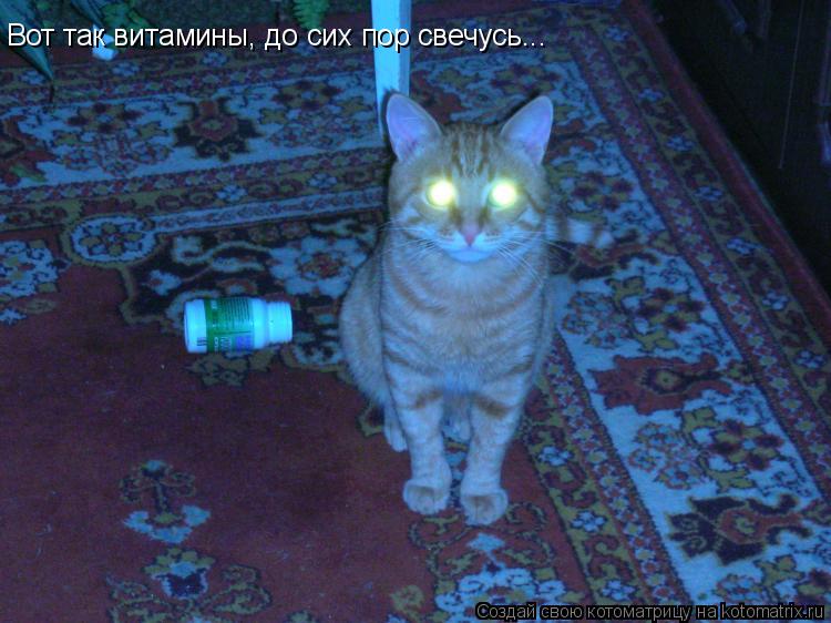 Вот так витамины, до сих пор свечусь...... Котоматрица: Вот так витамины, до сих пор свечусь...