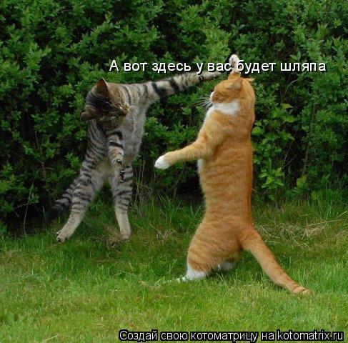 А вот здесь у вас будет шляпа... Котоматрица: А вот здесь у вас будет шляпа