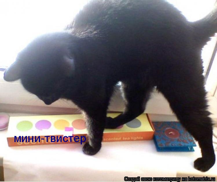 мини-твистер... Котоматрица: мини-твистер