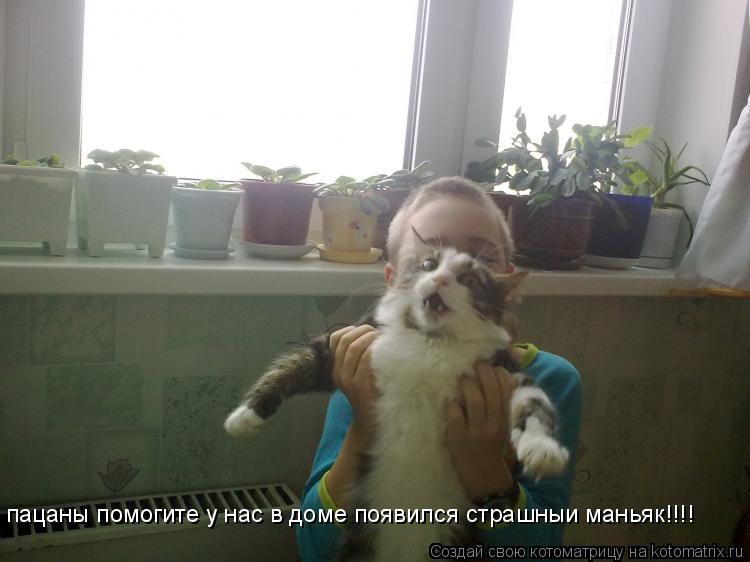 пацаны помогите у нас в доме появился страшныи маньяк!!!!... Котоматрица: пацаны помогите у нас в доме появился страшныи маньяк!!!!