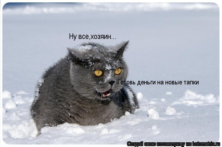 Ну все,хозяин... Готовь деньги на новые тапки... Котоматрица: Ну все,хозяин... Готовь деньги на новые тапки