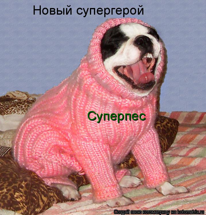 Новый супергерой Суперпес... Котоматрица: Новый супергерой Суперпес