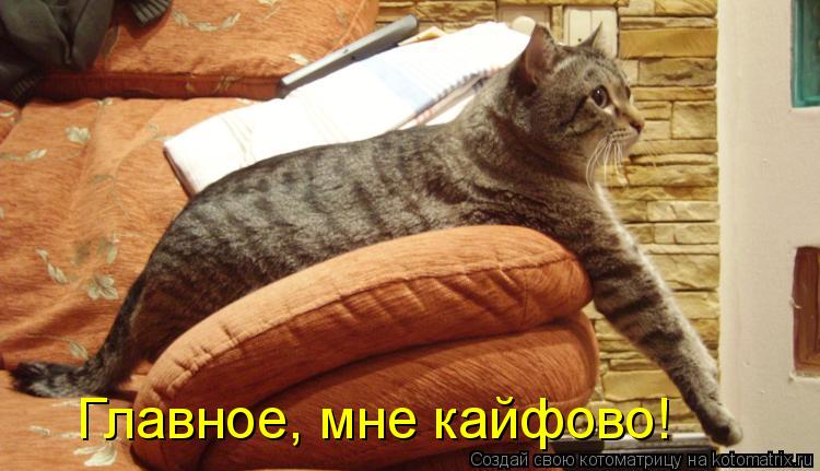Главное, мне кайфово!... Котоматрица: Главное, мне кайфово!