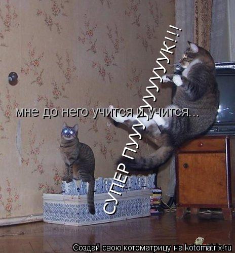 СУПЕР ПУУУУУУУУУУК!!! мне до него учится и учится...... Котоматрица: СУПЕР ПУУУУУУУУУУК!!! мне до него учится и учится...