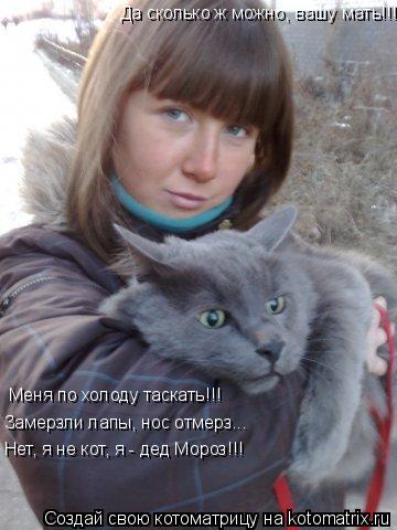 Да сколько ж можно, вашу мать!!! Меня по холоду таскать!!! Замерзли лапы, нос отмерз... Нет, я не кот... Котоматрица: Да сколько ж можно, вашу мать!!! Меня по холоду таскать!!! Замерзли лапы, нос отмерз... Нет, я не кот, я - дед Мороз!!!