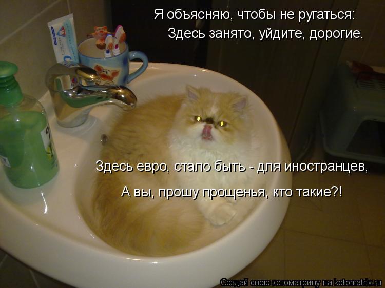 Я объясняю, чтобы не ругаться: Здесь занято, уйдите, дорогие. Здесь евро, стало быть - для иностранце... Котоматрица: Я объясняю, чтобы не ругаться: Здесь занято, уйдите, дорогие. Здесь евро, стало быть - для иностранцев, А вы, прошу прощенья, кто такие?!