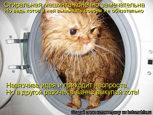 Стиральная машинка-конечно замечательна Но ведь котов в ней вымывать совсем не обязательно Навязчива ... Котоматрица: Стиральная машинка-конечно замечательна Но ведь котов в ней вымывать совсем не обязательно Навязчива идея и приходит неспроста, Но в друго