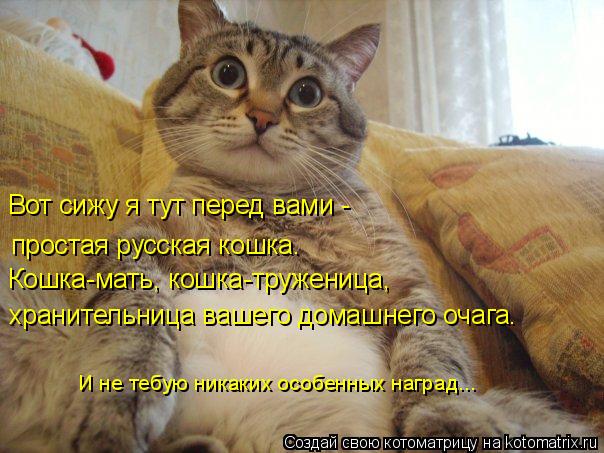 Котоматрица: Вот сижу я тут перед вами - простая русская кошка. Кошка-мать, кошка-труженица,  хранительница вашего домашнего очага. И не тебую никаких осо