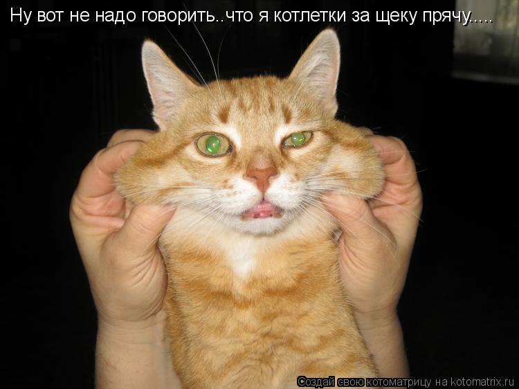 Ну вот не надо говорить..что я котлетки за щеку прячу........ Котоматрица: Ну вот не надо говорить..что я котлетки за щеку прячу.....