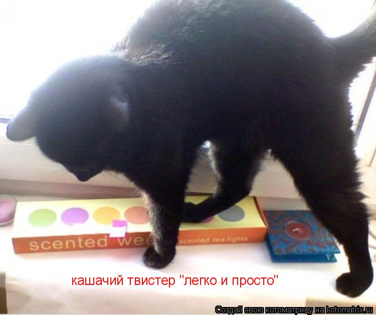 кашачий твистер "легко и просто"... Котоматрица: кашачий твистер "легко и просто"