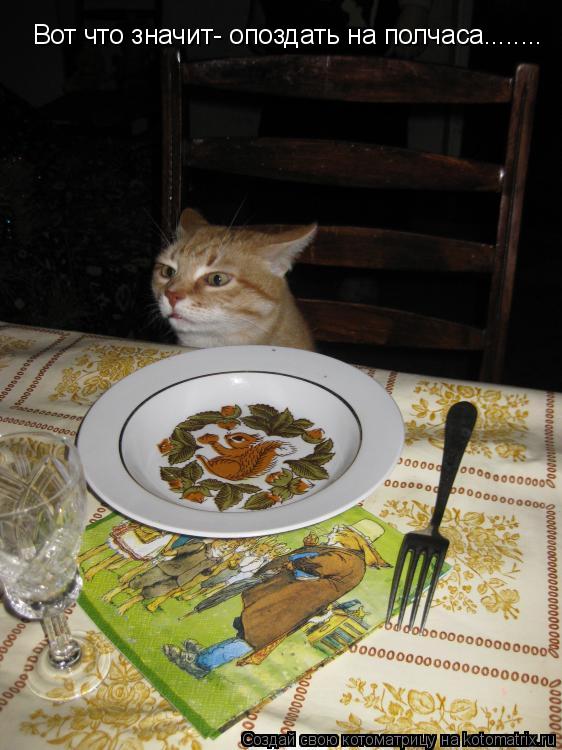 Вот что значит- опоздать на полчаса........... Котоматрица: Вот что значит- опоздать на полчаса........