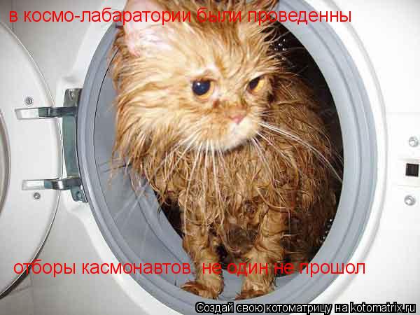 в космо-лабаратории были проведенны в космо-лабаратории были проведенны отборы касмонавтов. не один... Котоматрица: в космо-лабаратории были проведенны в космо-лабаратории были проведенны отборы касмонавтов. не один не прошол