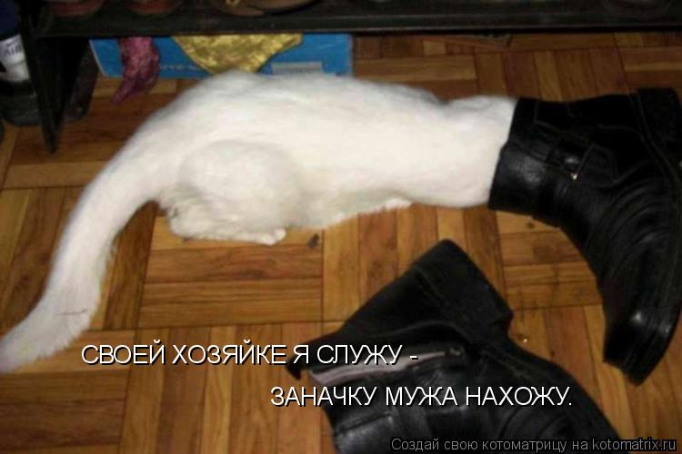 СВОЕЙ ХОЗЯЙКЕ Я СЛУЖУ - ЗАНАЧКУ МУЖА НАХОЖУ.... Котоматрица: СВОЕЙ ХОЗЯЙКЕ Я СЛУЖУ - ЗАНАЧКУ МУЖА НАХОЖУ.