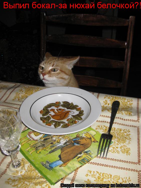 Котоматрица: Выпил бокал-за нюхай белочкой?!