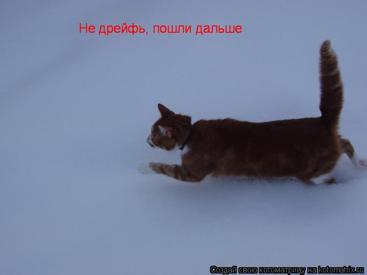 Котоматрица: Не дрейфь, пошли дальше Не дрейфь, пошли дальше Не дрейфь, пошли дальше