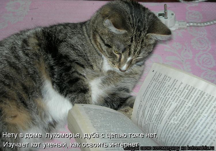 Котоматрица: Изучает кот ученый, как освоить интернет Нету в доме  лукоморья, дуба с цепью тоже нет,