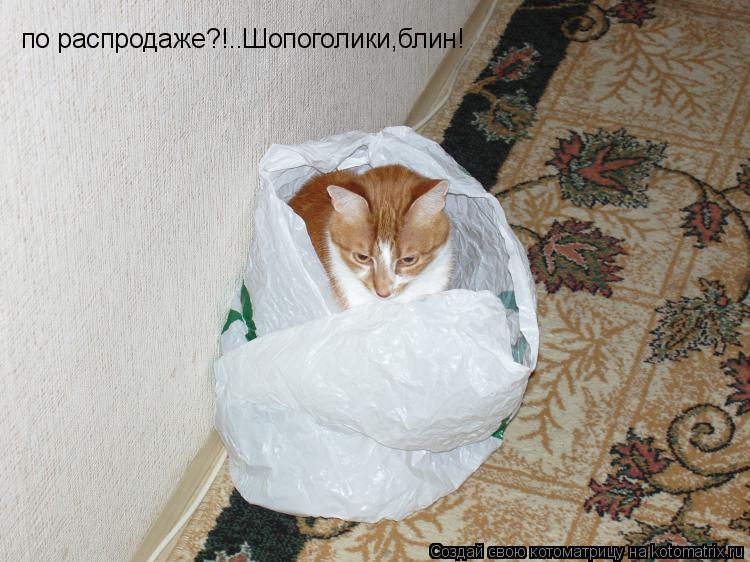 Котоматрица: по распродаже?!..Шопоголики,блин!