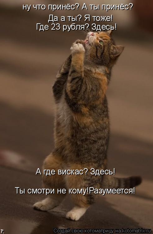 Котоматрица: ну что принёс? А ты принёс? Да а ты? Я тоже! Где 23 рубля? Здесь! А где вискас? Здесь! Ты смотри не кому!Разумеется!