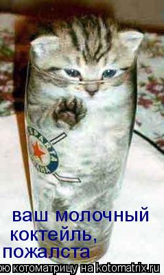 ваш молочный коктейль, пожалста... Котоматрица: ваш молочный коктейль, пожалста