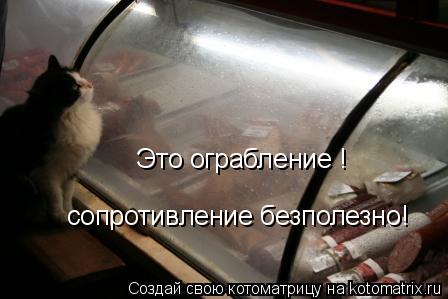 Котоматрица: Это ограбление ! сопротивление безполезно!