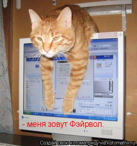 Котоматрица: - меня зовут Фэйрвол.