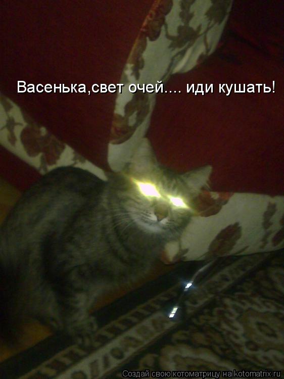 Котоматрица: Васенька,свет очей.... иди кушать!