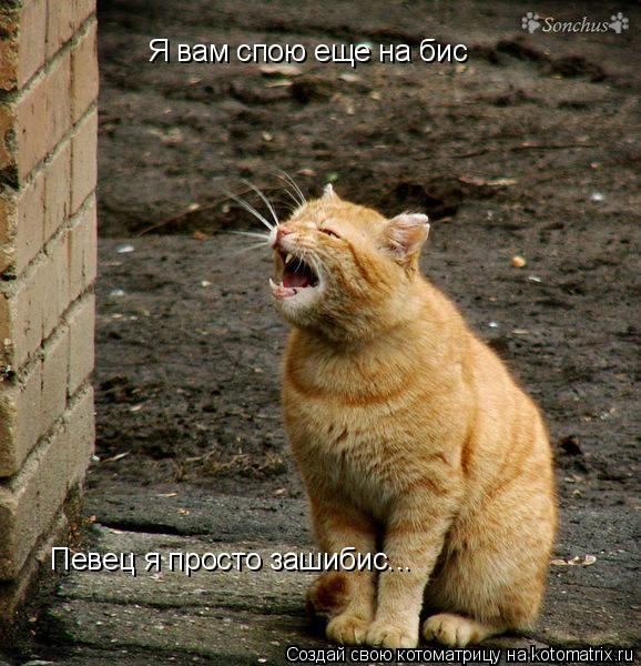 Я вам спою еще на бис Певец я просто зашибис...... Котоматрица: Я вам спою еще на бис Певец я просто зашибис...