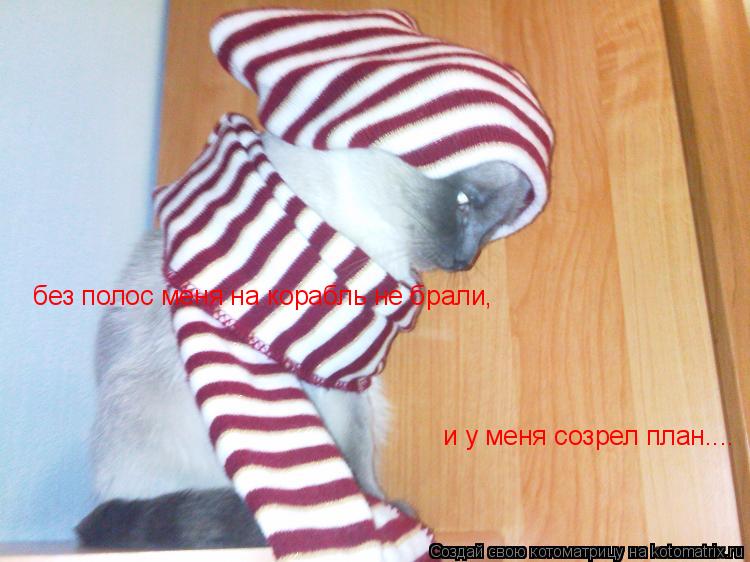 Котоматрица: без полос меня на корабль не брали,  и у меня созрел план....