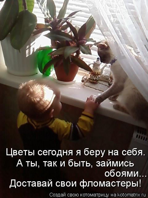 Цветы сегодня я беру на себя. А ты, так и быть, займись обоями... Доставай свои фломастеры!... Котоматрица: Цветы сегодня я беру на себя. А ты, так и быть, займись обоями... Доставай свои фломастеры!