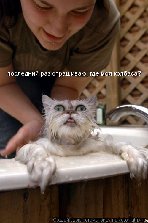 Котоматрица: последний раз спрашиваю, где моя колбаса?