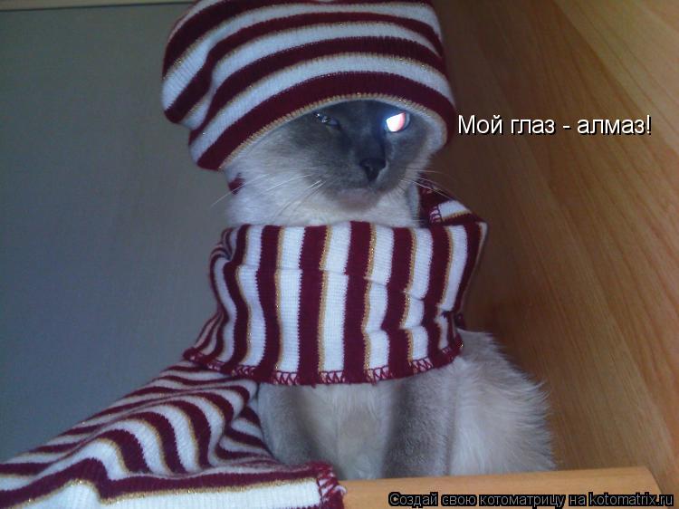 Котоматрица: Мой глаз - алмаз!