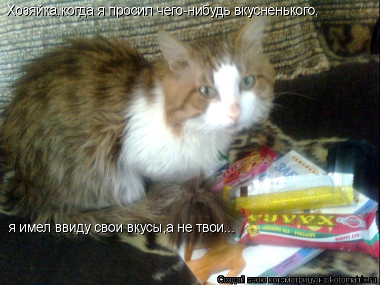 Котоматрица: я имел ввиду свои вкусы,а не твои... Хозяйка,когда я просил чего-нибудь вкусненького,
