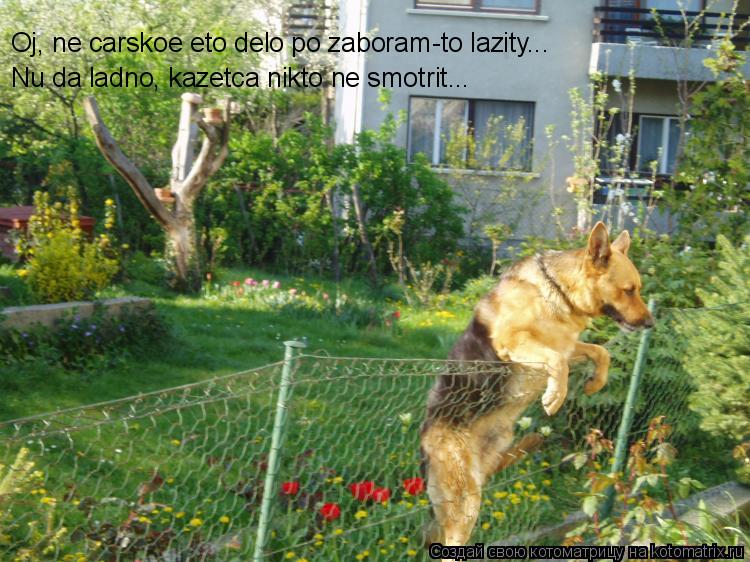 Котоматрица: Oj, ne carskoe eto delo po zaboram-to lazity... Nu da ladno, kazetca nikto ne smotrit...