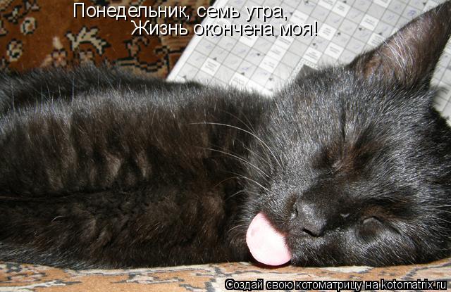 Котоматрица: Понедельник, семь утра, Жизнь окончена моя!