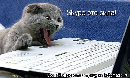 Котоматрица: Skype это сила!