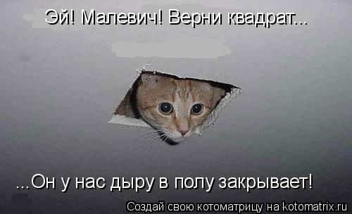 Котоматрица: Эй! Малевич! Верни квадрат... ...Он у нас дыру в полу закрывает!