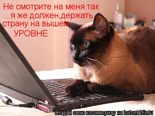 Котоматрица: Не смотрите на меня так ...я же должен,держать  страну на вышем УРОВНЕ