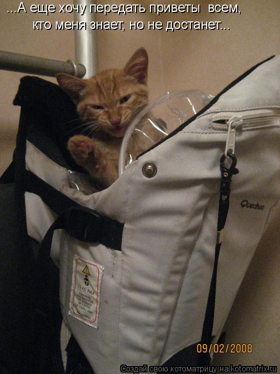 кто меня знает, но не достанет... ...А еще хочу передать приветы всем,... Котоматрица: кто меня знает, но не достанет... ...А еще хочу передать приветы всем,