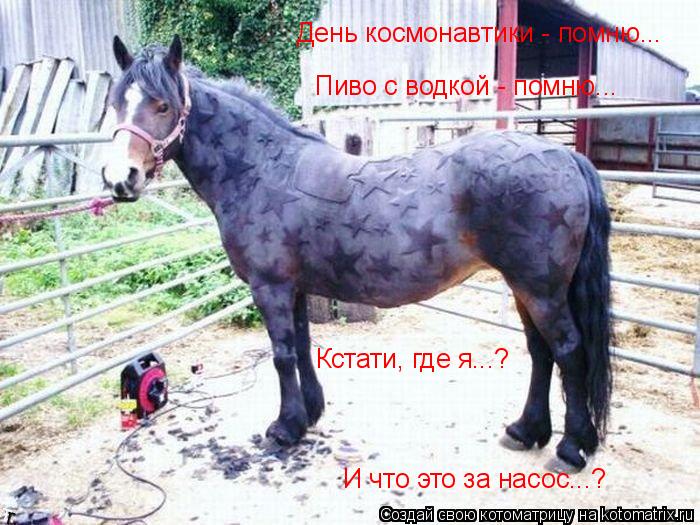 Котоматрица: Кстати, где я...? День космонавтики - помню... Пиво с водкой - помню... И что это за насос...?