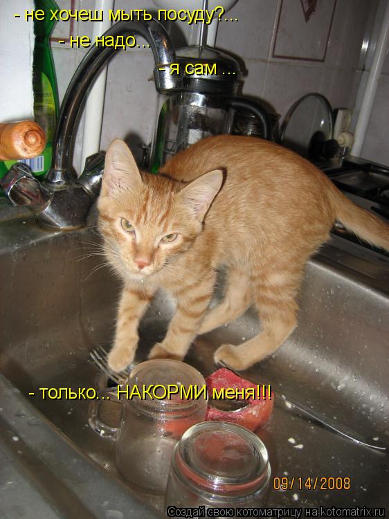 Котоматрица: - не хочеш мыть посуду?... - не надо... - я сам ... - только... НАКОРМИ меня!!!