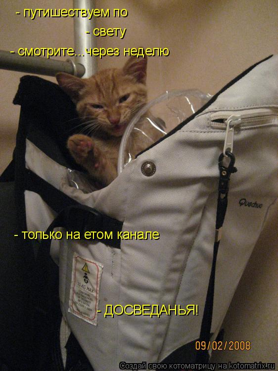 Котоматрица: - путишествуем по - свету - смотрите...через неделю - только на етом канале - ДОСВЕДАНЬЯ!