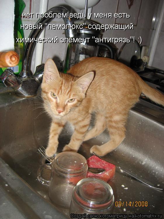 Котоматрица: нет проблем!ведь у меня есть новый "пемолюкс" содержащий химический элемент "антигрязь"! :)