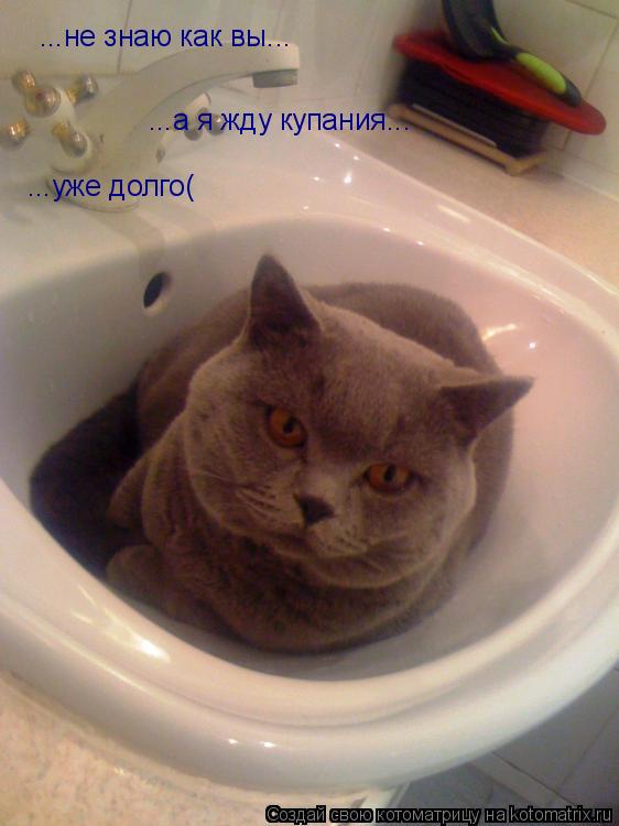 Котоматрица: ...не знаю как вы... ...а я жду купания... ...уже долго(