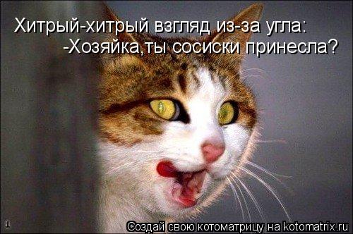 Котоматрица: Хитрый-хитрый взгляд из-за угла: -Хозяйка,ты сосиски принесла?