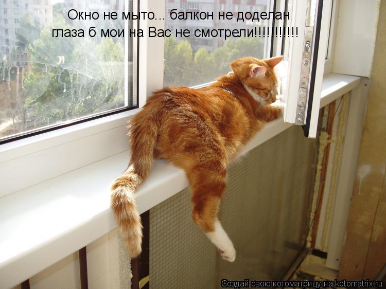 Котоматрица: Окно не мыто... балкон не доделан глаза б мои на Вас не смотрели!!!!!!!!!!!
