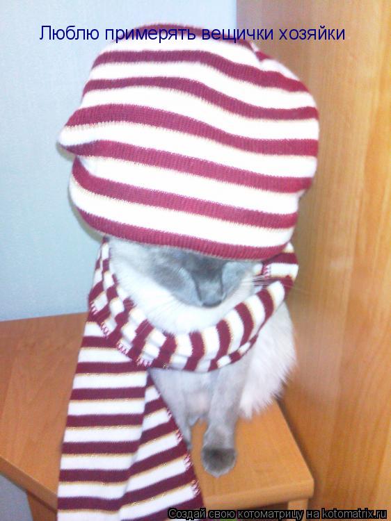 Котоматрица: Люблю примерять вещички хозяйки